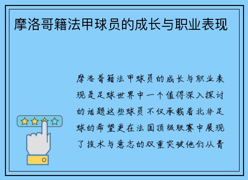 摩洛哥籍法甲球员的成长与职业表现