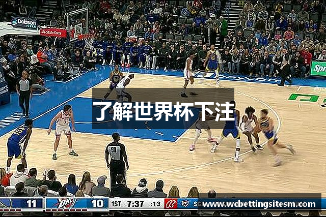了解世界杯下注